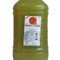  Suco Abacaxi c/ Hortelã 5L  